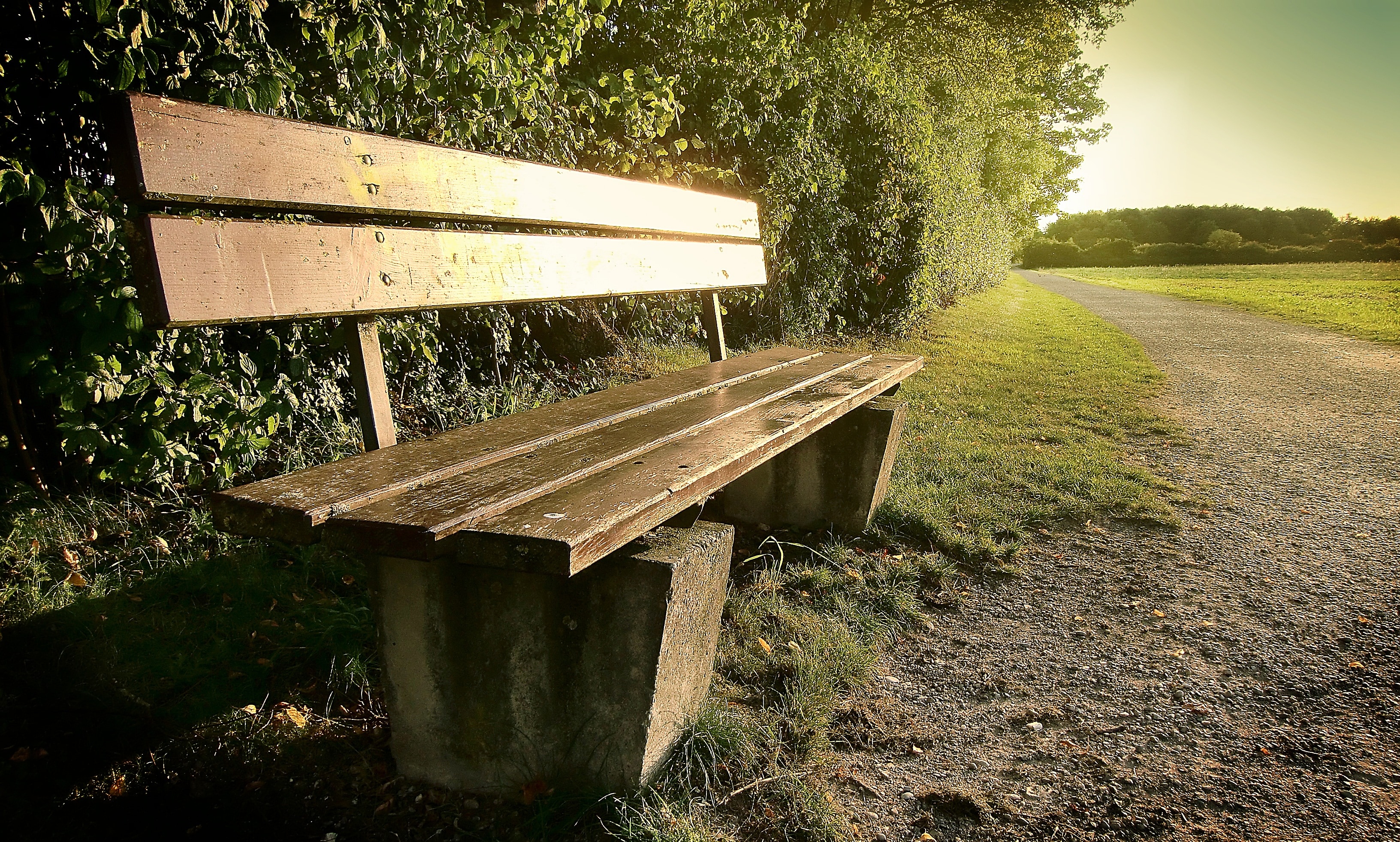 Lonely, Rest, Sun, Sit, Back Light, Bank, wood - material, day