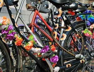 Cycling, Transport, Street, Bicycle, bicycle, transportation thumbnail