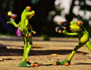 two green frogs facing each other taking photo thumbnail