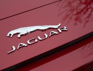 jaguar emblem thumbnail
