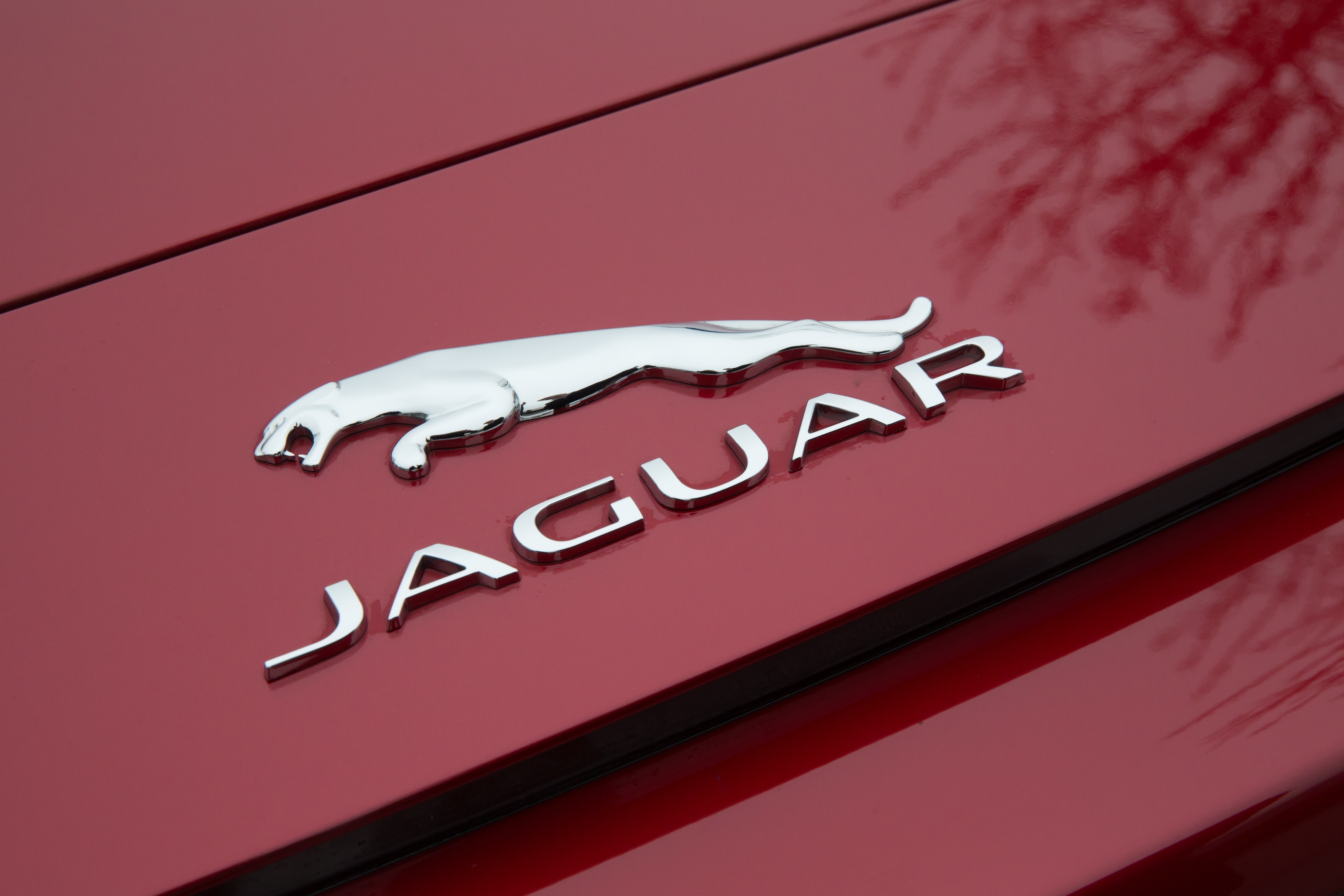 jaguar emblem