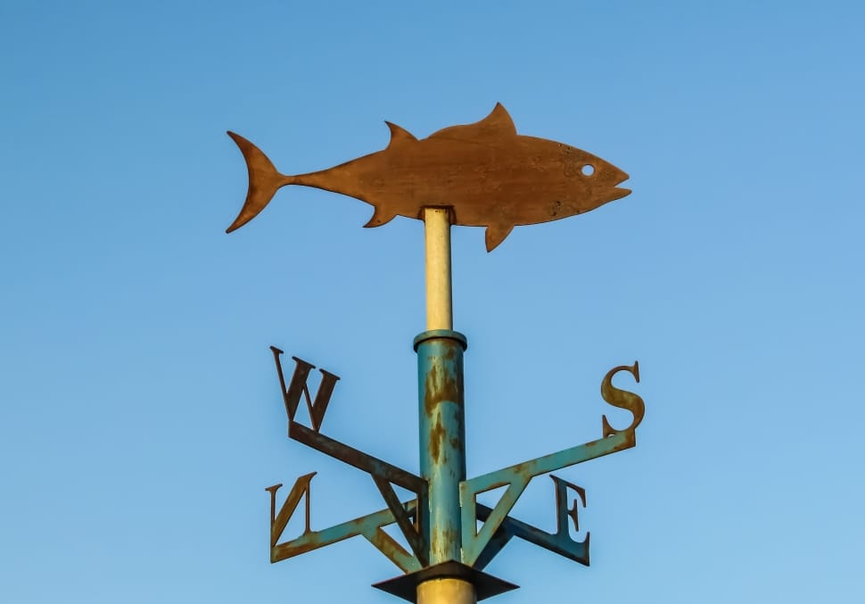 green and brown fish wind vane preview