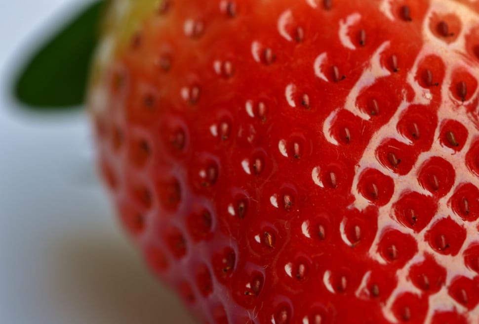 close up photo of strawberry preview