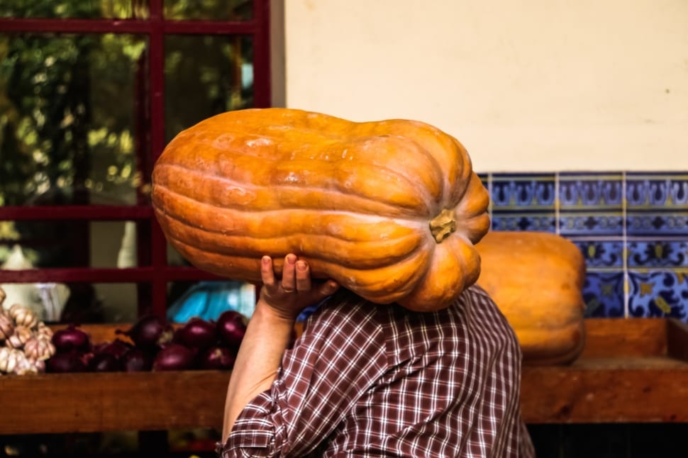 man crarrying a pumpkin preview
