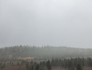 captured photo of a stormy weather condition thumbnail