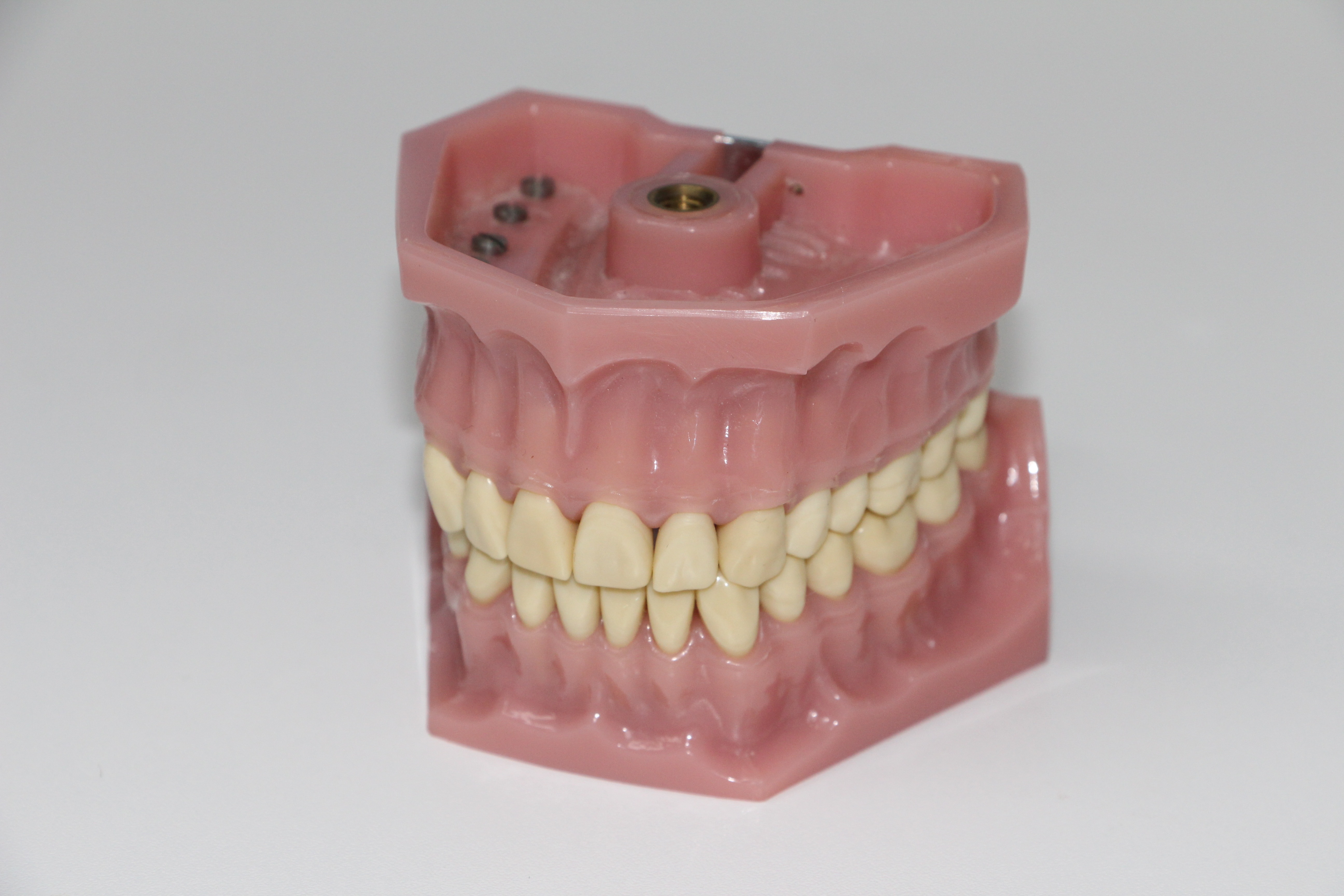 pink teeth decor