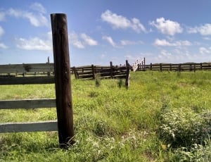 Landscape, Old, Ranch, Fences, Abandoned, grass, field thumbnail