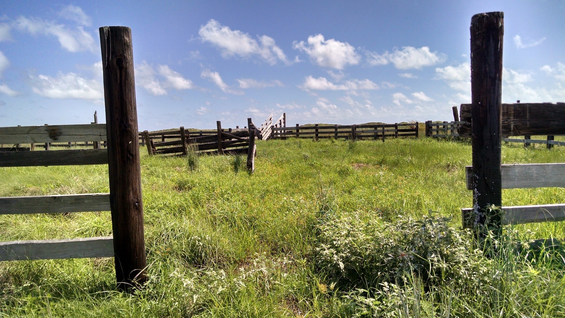 Landscape, Old, Ranch, Fences, Abandoned, grass, field