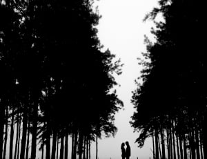 silhouette of man and woman photo thumbnail