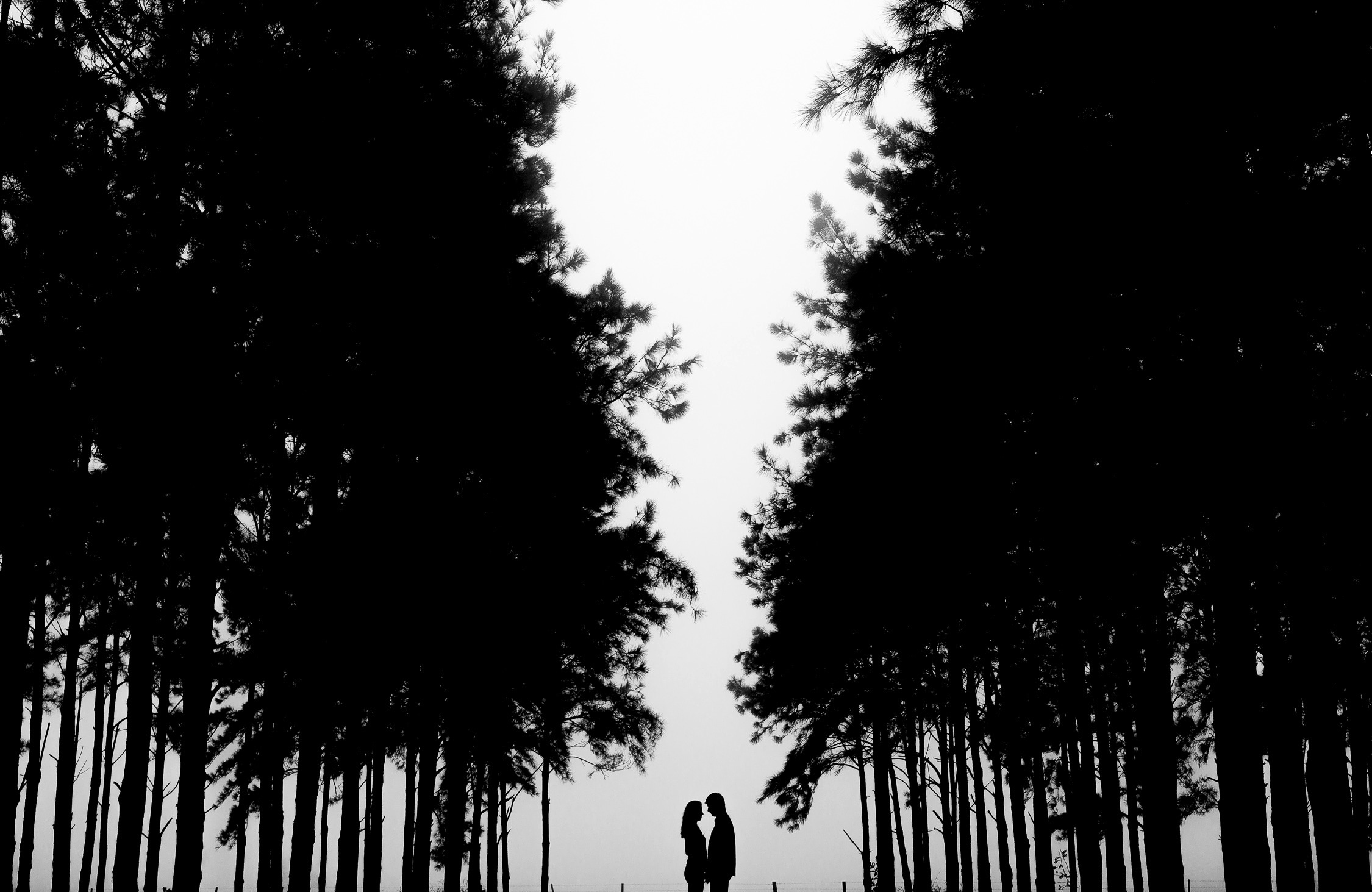 silhouette of man and woman photo
