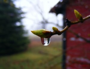 water droplet thumbnail