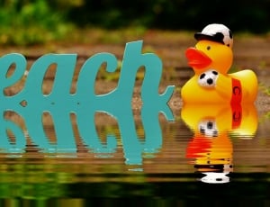 beach cut out letter decor and duckling rubber toy thumbnail