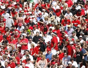 Sports Fans, Crowd, Spectators, large group of people, fan - enthusiast thumbnail