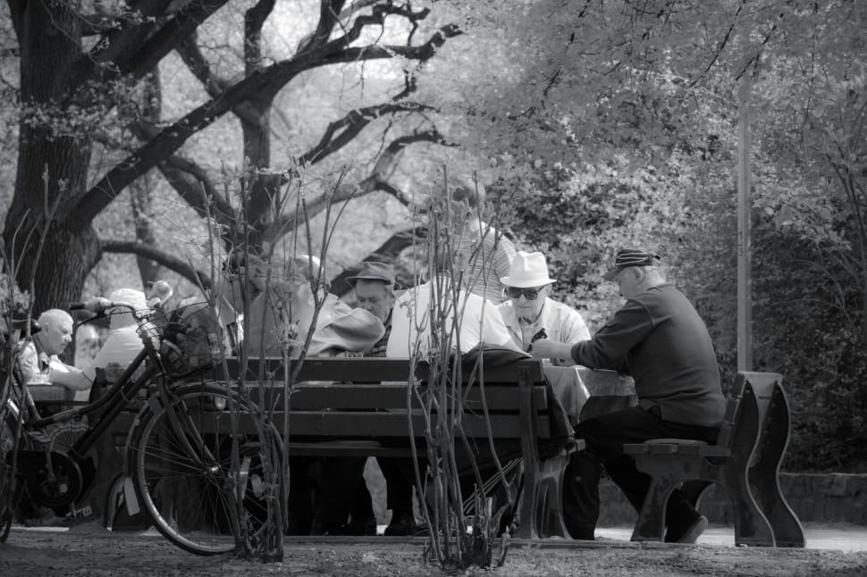 grayscale photo of people sitting on the wooden bench near on the trees preview