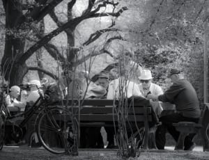 grayscale photo of people sitting on the wooden bench near on the trees thumbnail