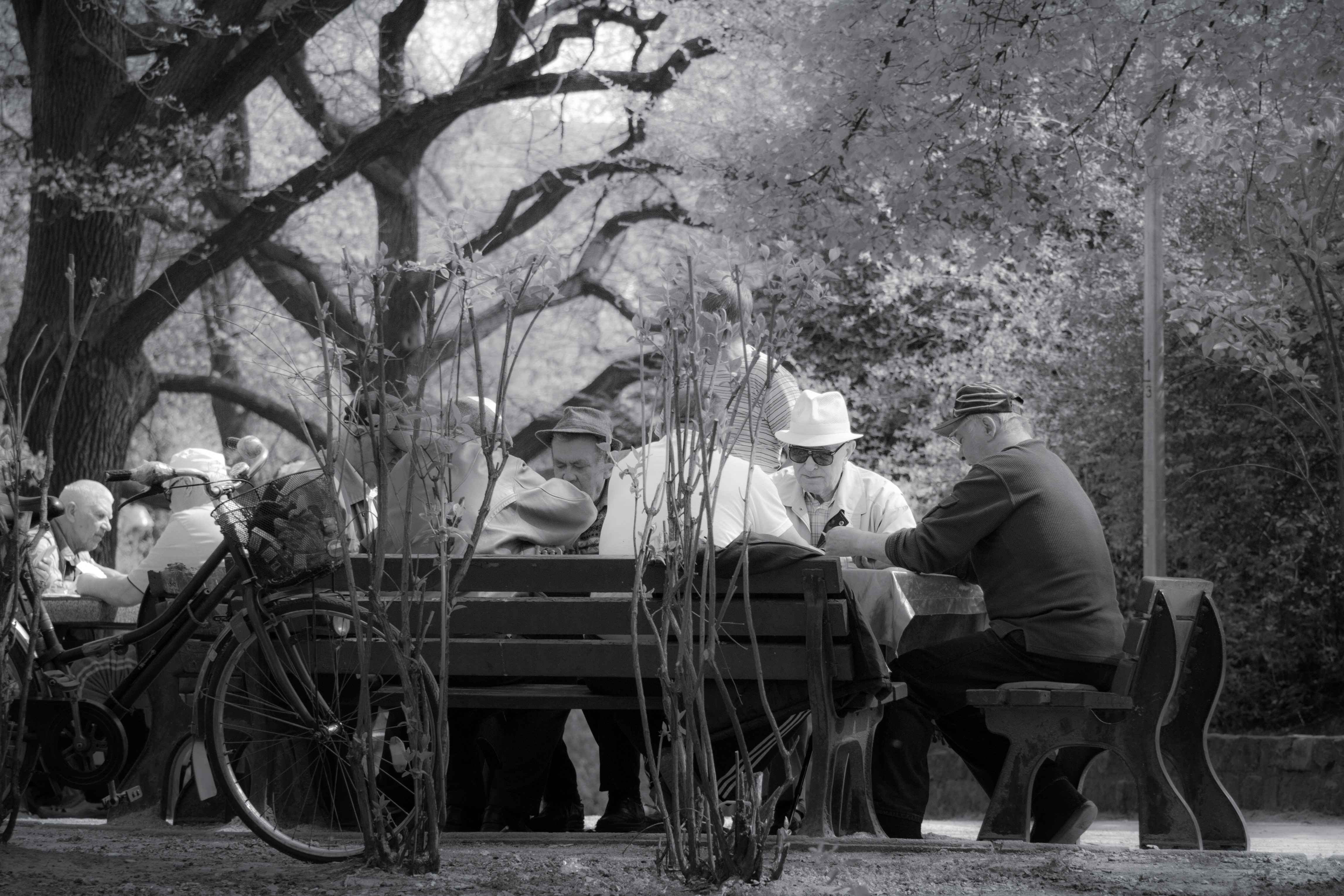 grayscale photo of people sitting on the wooden bench near on the trees