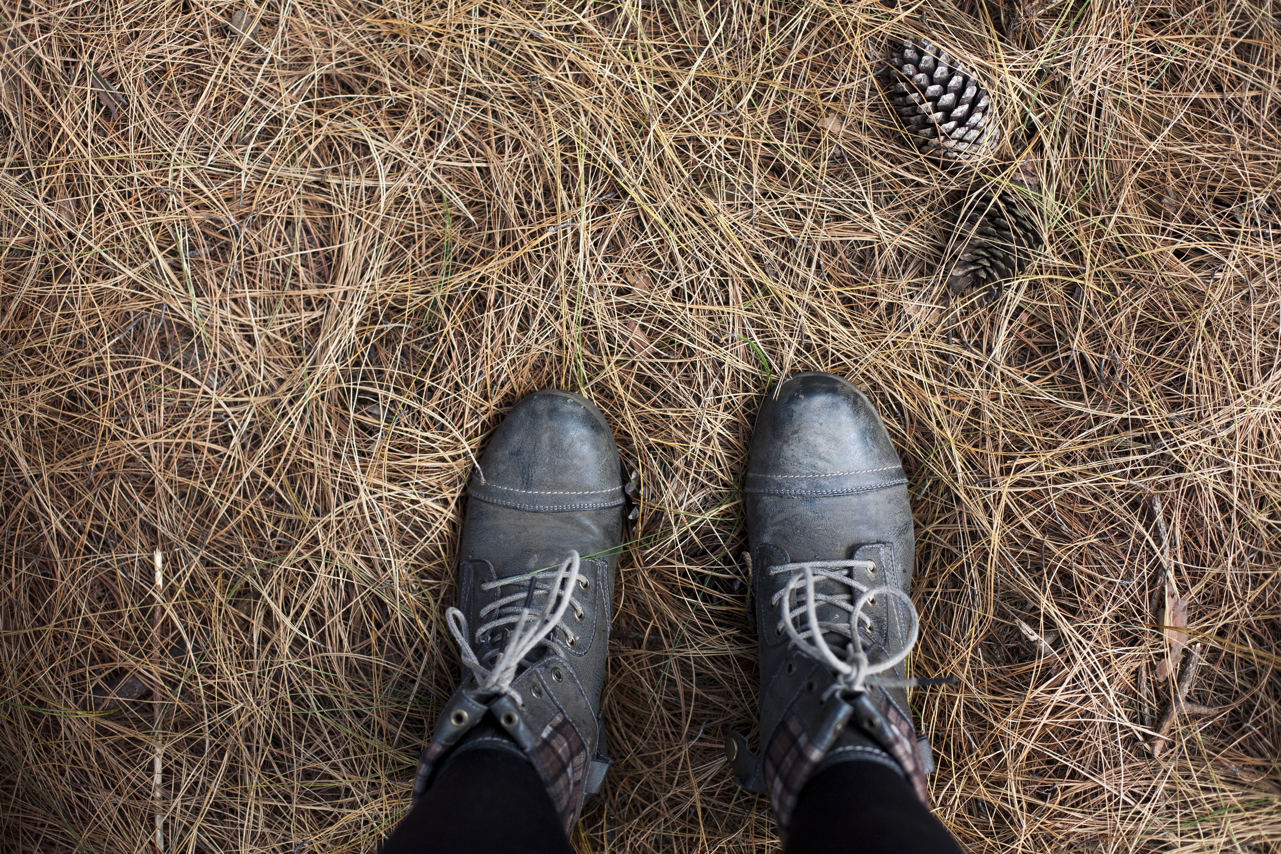 close up photo person standing on withered grass