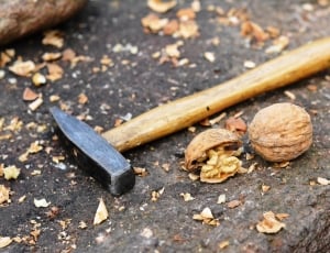 brown wooden handled hammer and walnut thumbnail