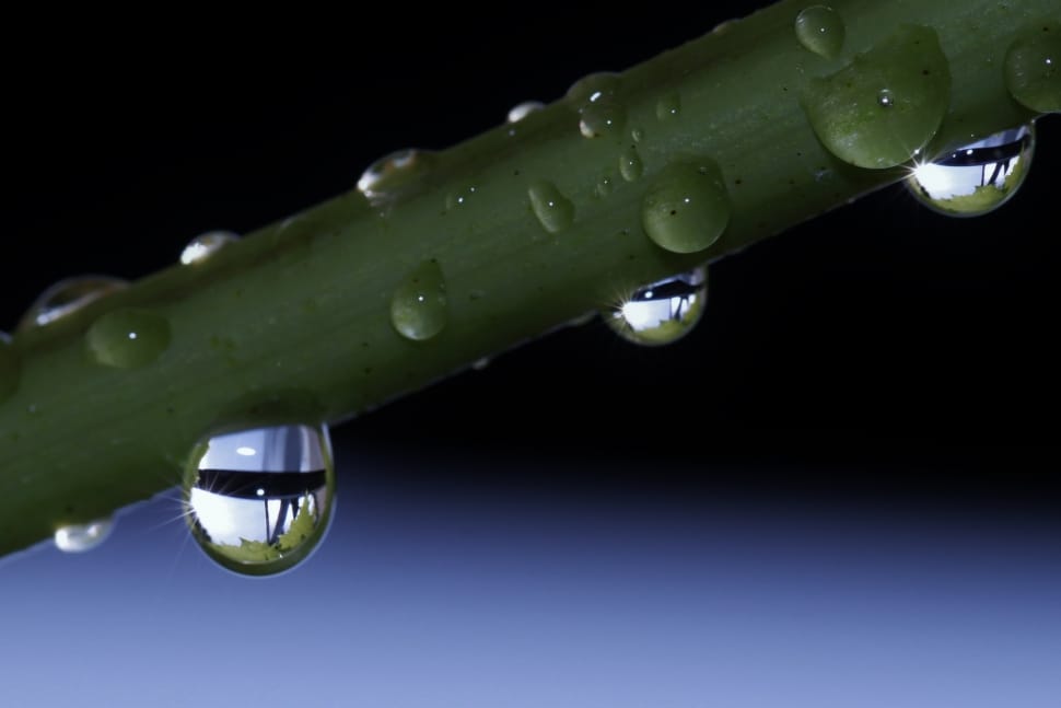 shallow focus photography of water drops preview