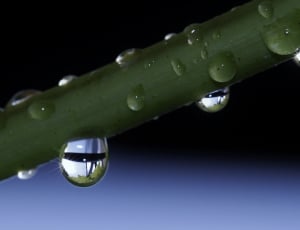 shallow focus photography of water drops thumbnail