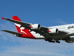 qantas white and red airplane thumbnail