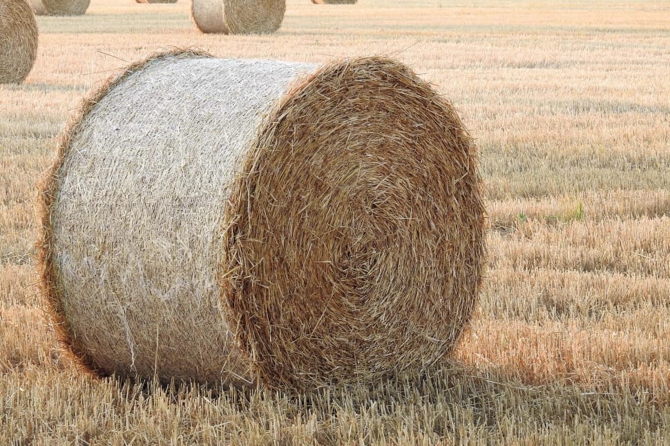 brown hay bale preview