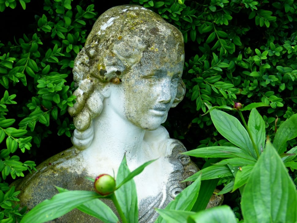 Statue, Fig, Woman, Sculpture, Face, statue, sculpture preview