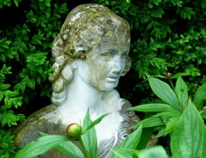 Statue, Fig, Woman, Sculpture, Face, statue, sculpture thumbnail