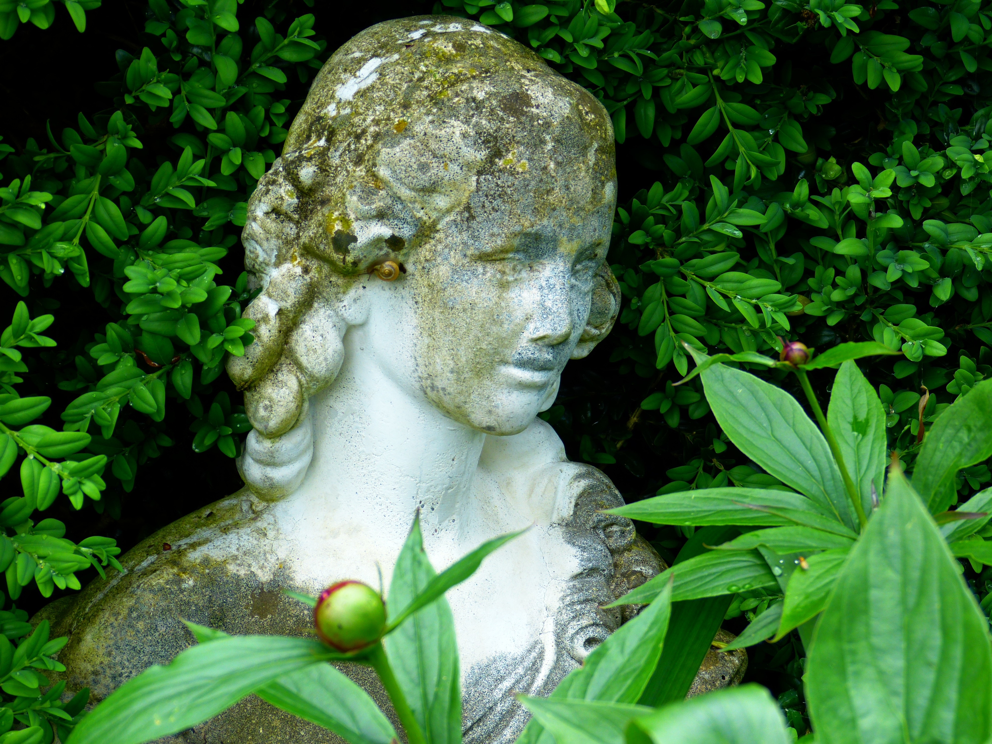 Statue, Fig, Woman, Sculpture, Face, statue, sculpture free image | Peakpx