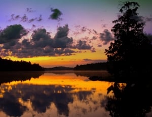 silhouette of trees near body of water photo thumbnail