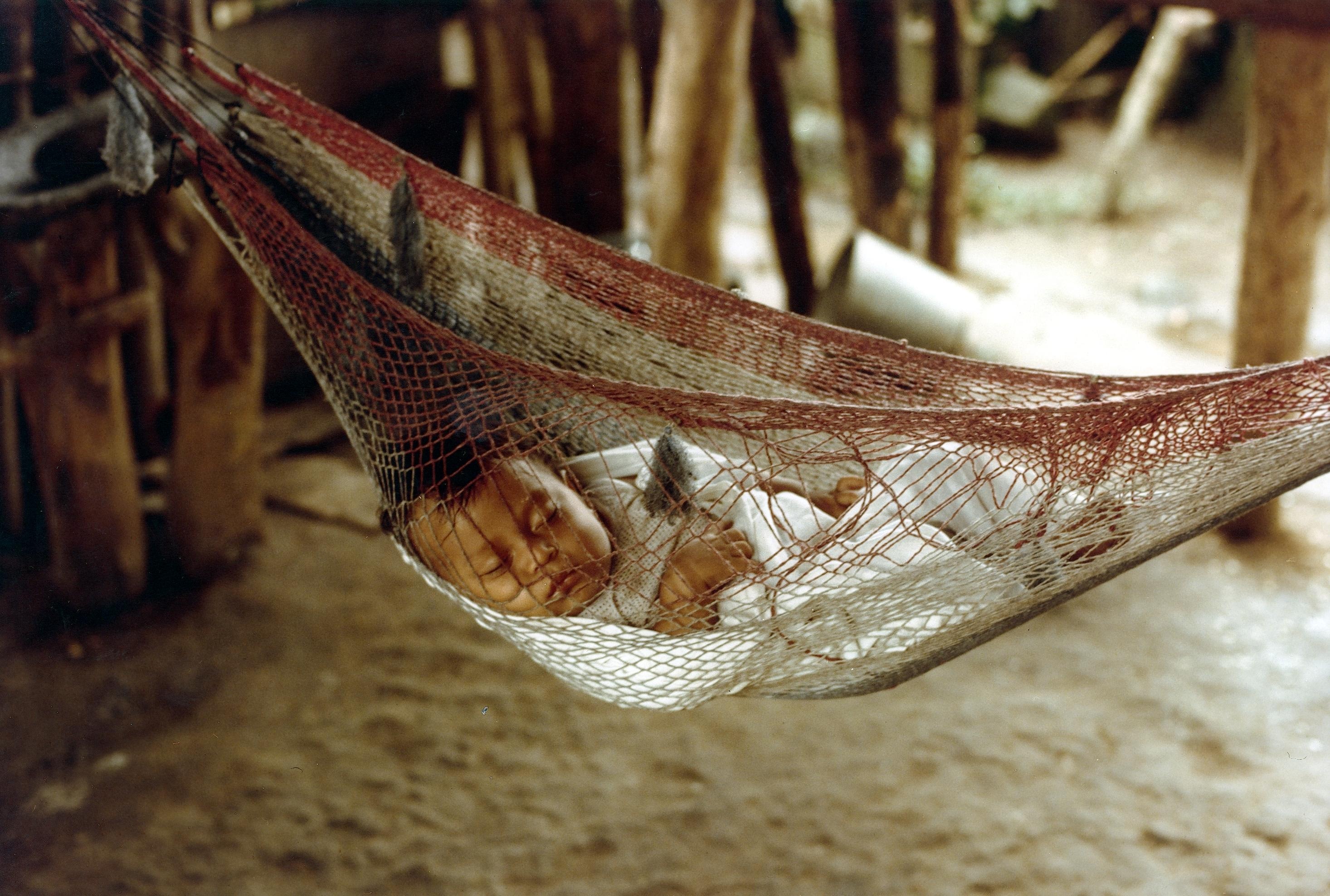 Cute, Honduras, Sleeping, Baby, Inside, one animal, animal themes