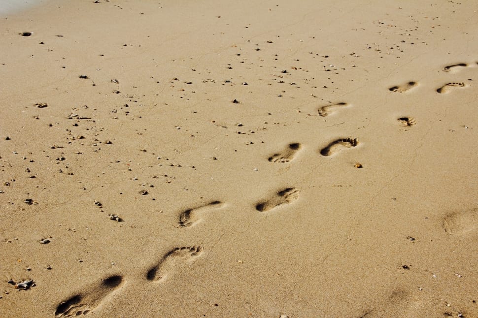 Footprints, Sun, Sand, paw print, footprint preview
