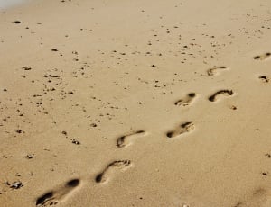Footprints, Sun, Sand, paw print, footprint thumbnail