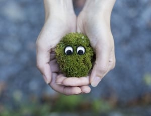 green plant with googly eyes thumbnail