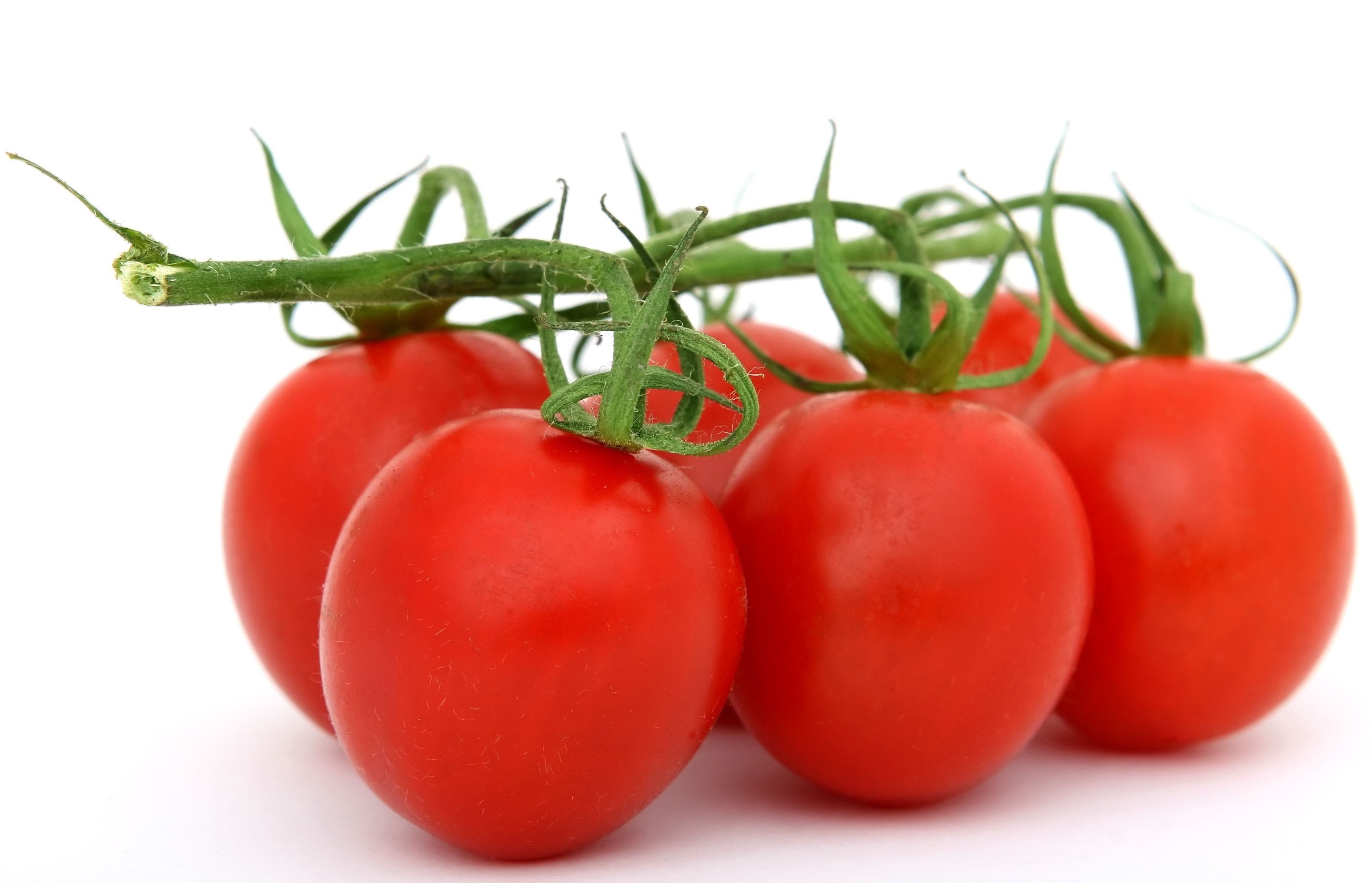 6 tomatoes