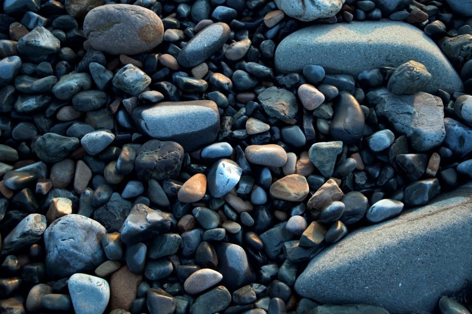 close up photo of a pebbles outside during daytime preview