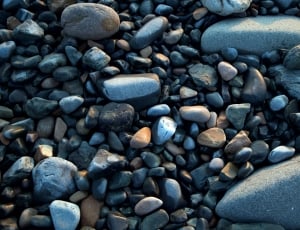 close up photo of a pebbles outside during daytime thumbnail