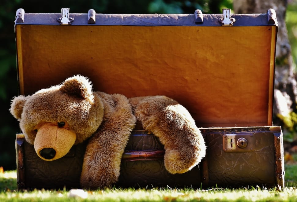 brown teddy bear and storage box preview