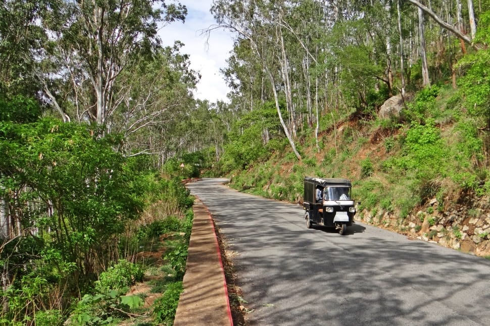 Hill Road, Auto-Rickshaw, Nandi Hills, tree, transportation preview
