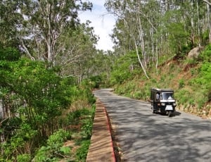 Hill Road, Auto-Rickshaw, Nandi Hills, tree, transportation thumbnail