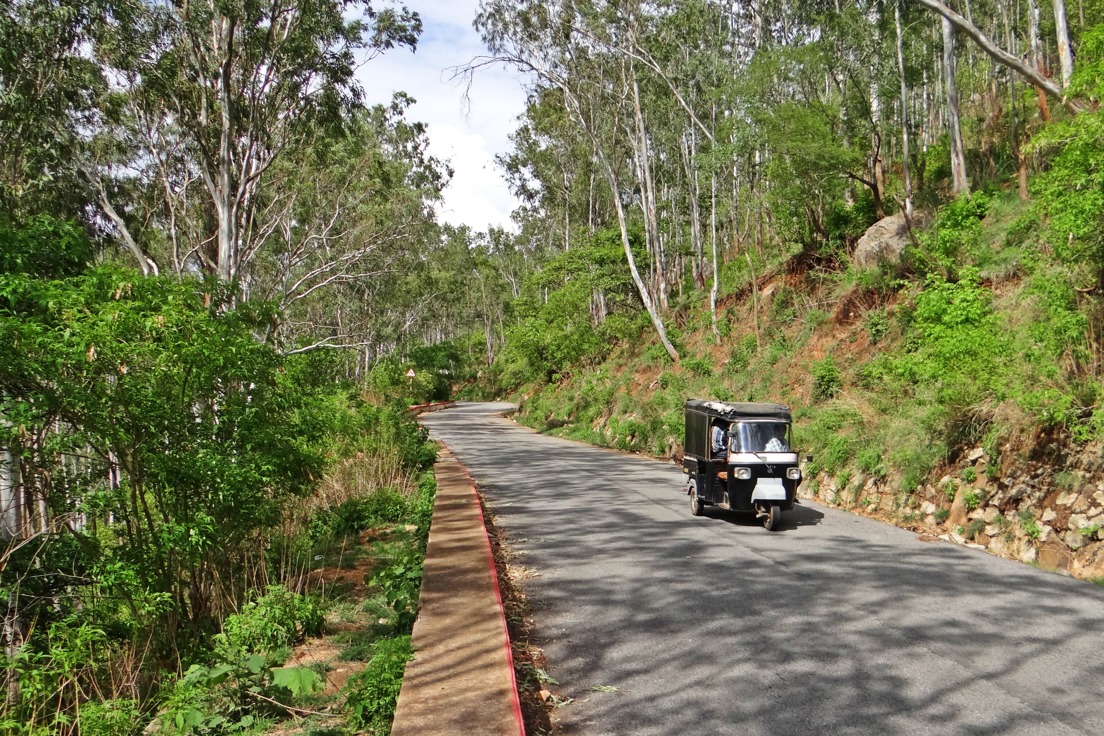 Hill Road, Auto-Rickshaw, Nandi Hills, tree, transportation