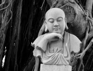 buddha bust beside large tree grayscale photo thumbnail