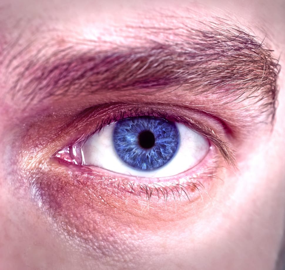Blue, Overview, Face, Eye, human eye, human body part preview