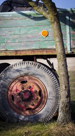 brown car wheel with tire thumbnail