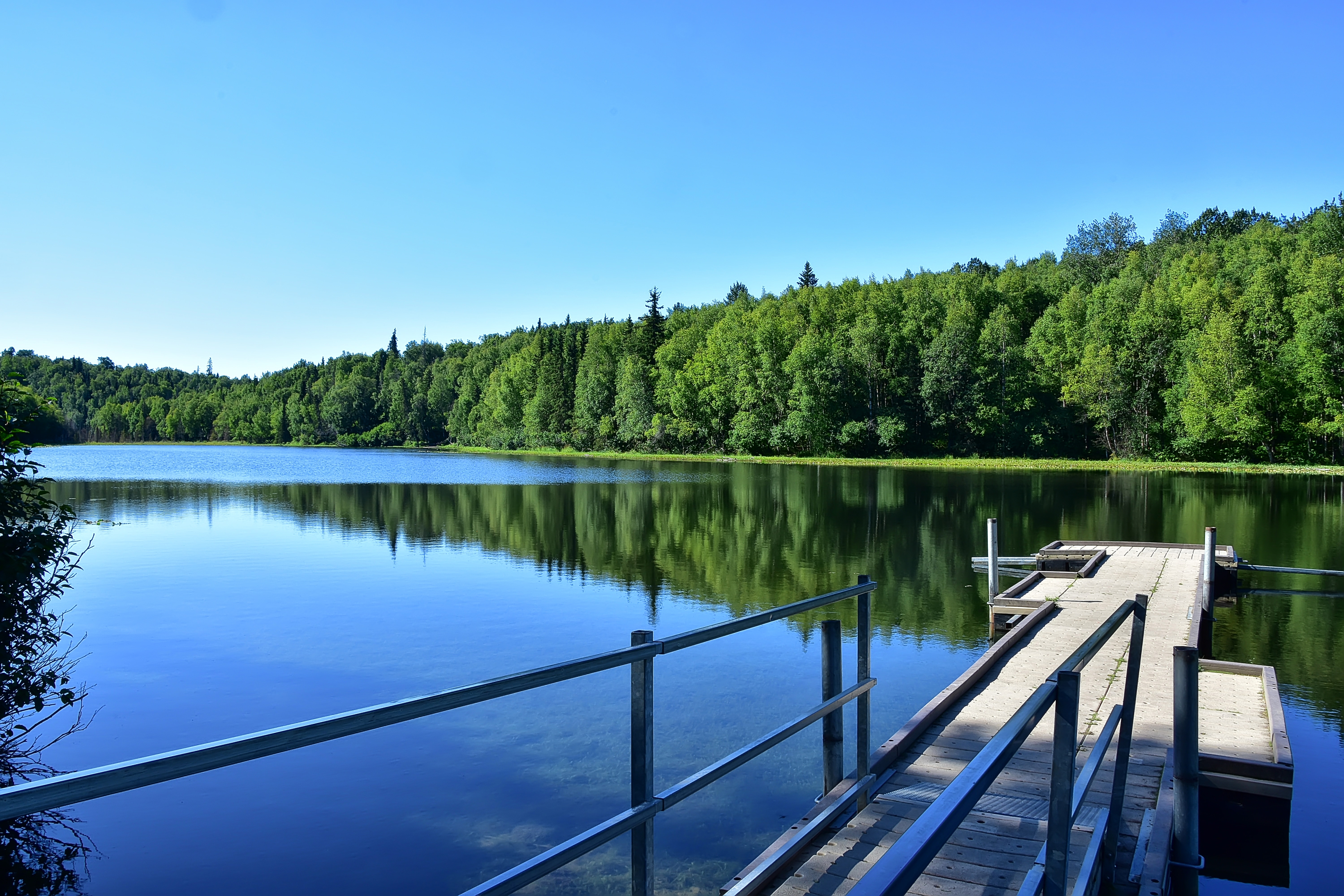 Little Campbell Lake, trees, bridge, blue sky