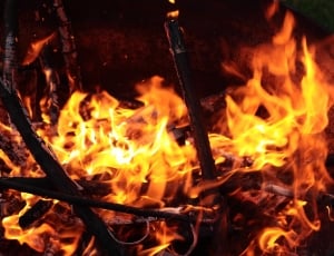 Heat, Heiss, Wood, Burn, Fireplace, flame, heat - temperature thumbnail