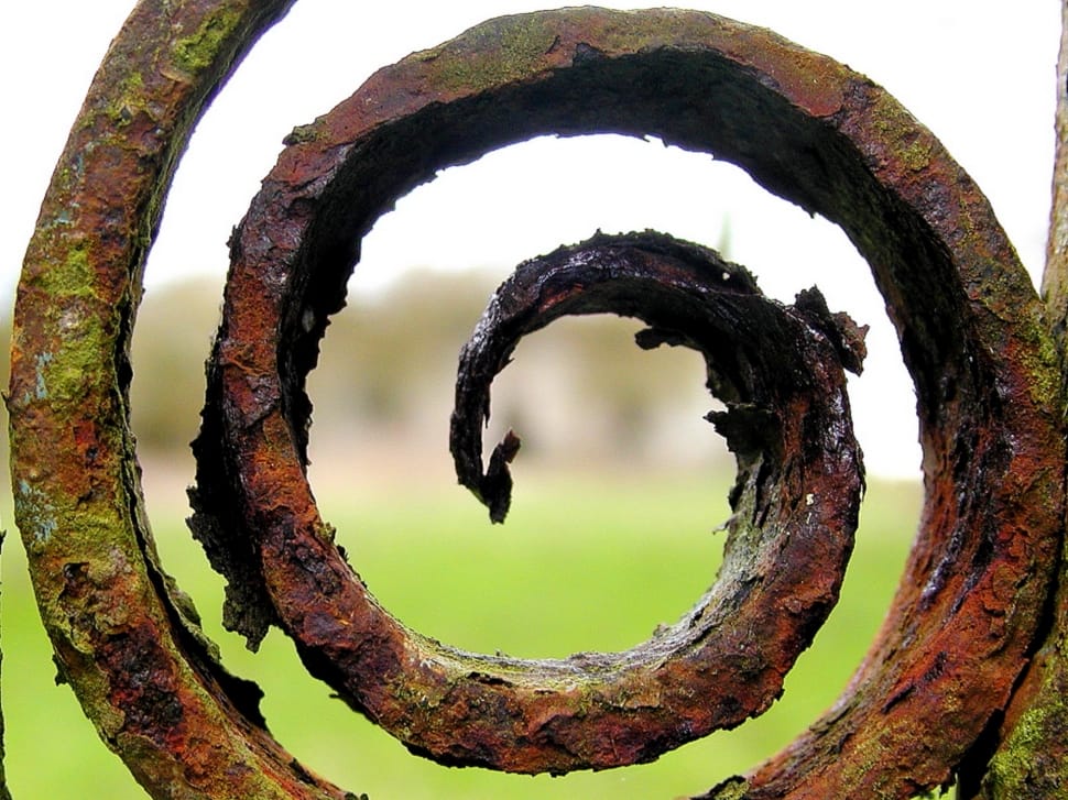 Steel, Scroll, Vintage, Iron, Rust, tree trunk, tree preview