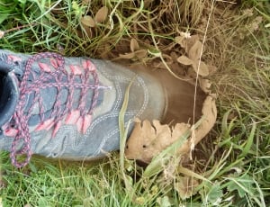 pink and grey hiking boot thumbnail