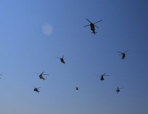 group of helicopters thumbnail