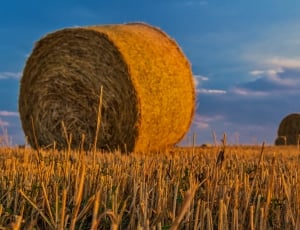 Agriculture, Straw, Harvest, Bale, bale, hay thumbnail